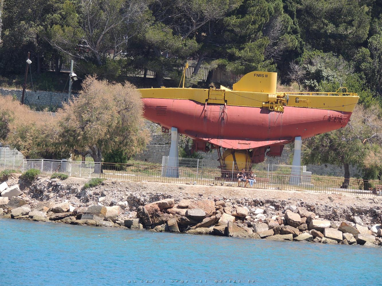 2019 06 01 LA SEYNE SUR MER A.G DE LA SEPIA FEDERATION NATIONALE (149).JPG -           